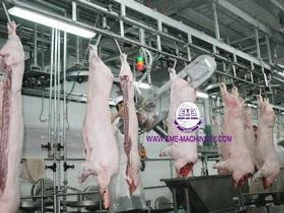 猪肉屠宰场半胴体带式分割锯 用于生猪屠宰线的生猪屠宰机械 屠宰场机械
