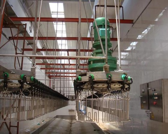 直观的高性能流线型活禽笼带式输送机 屠宰场屠宰场设备