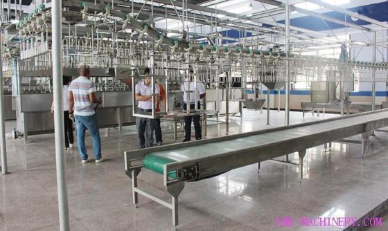 先进的家禽养殖设备 家禽屠宰设备 屠宰设备