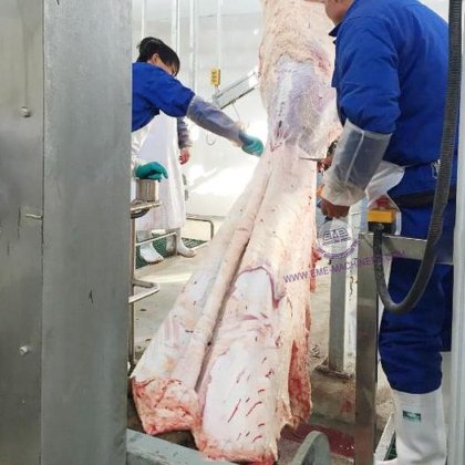 用于牛屠宰厂的价格最优的牛屠宰场液压剥皮机
