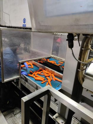 CARROT LINE AND GRADER SYSTEM