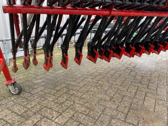 2002 コングスキルデCSA 3000Aデメター・クラシック・シーダー