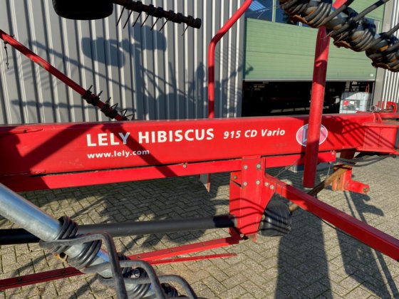 2012年 リーハイビスカス 915