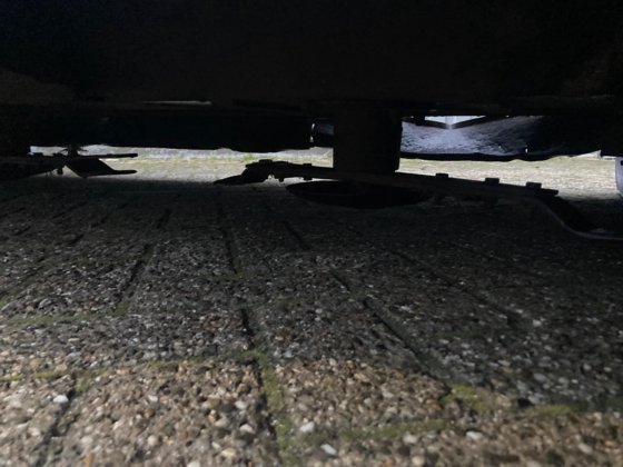 ゴードランドの草原