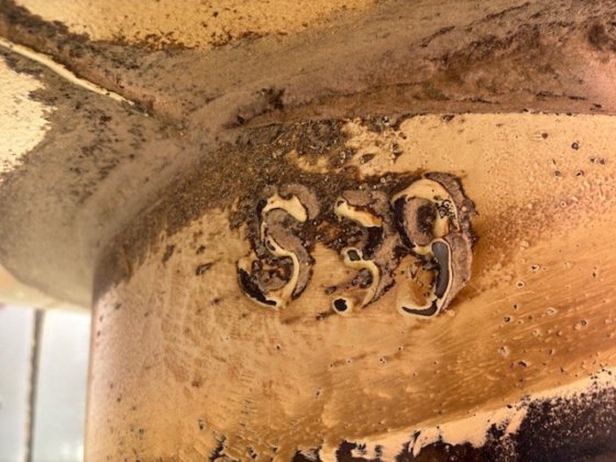 2016 エアミックス ビガ 22-200/230