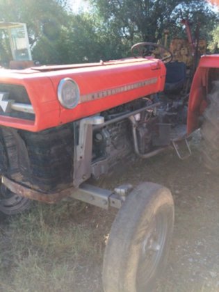 Massey Ferguson 165 In Terzo Marzoccolo Italy Massey Ferguson 165 In Terzo Marzoccolo Italy