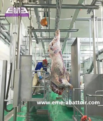 清真屠宰场牛屠宰机械 血槽 用于整条牛肉屠宰线的屠宰设备