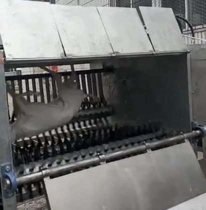 羊肉清真屠宰场设备，带山羊屠宰机 活羊/山羊清真屠宰箱