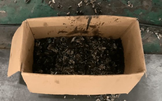 Wiscon 滤油机回收系统和处理机