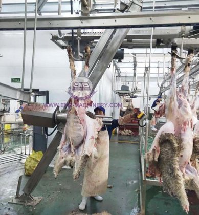 用于山羊屠宰场屠宰设备的整套绵羊屠宰机胴体剥皮机