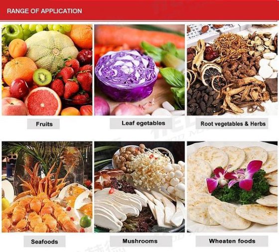 合德高品质自动切条切片可定制传送带蔬菜切割机