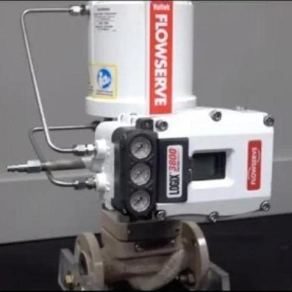 Flowserve 3800MD