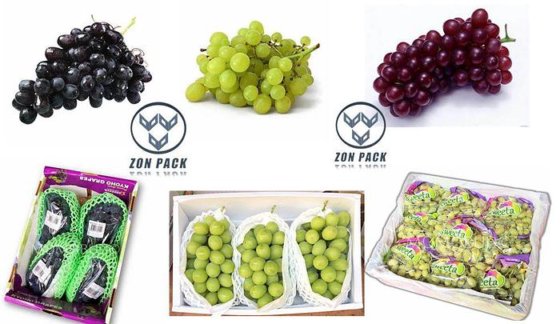 2021 ZON PACK ZH-AT12