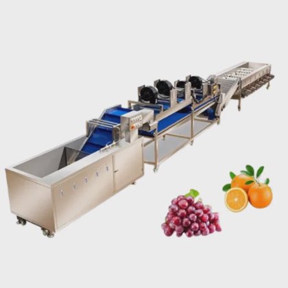Automatic Fruit Processing Line Fruit Washing Waxing Dryer Sorting ...