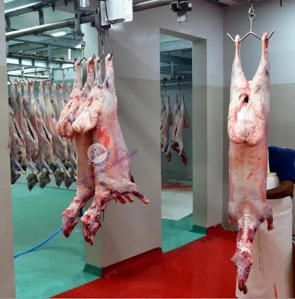 清真杀羊机 羊屠宰线设备 羊屠宰场屠宰设备，价格优惠
