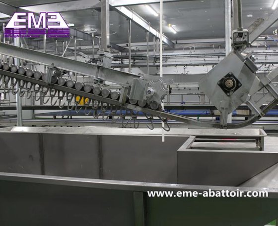 专业的现代化屠宰场布局 牛屠宰场 山羊屠宰加工机械 自动屠宰设备