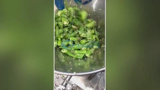 酱料制作机 最佳工业用小型研磨胶体磨 杏仁果仁酱 辣椒酱制作机公司 -