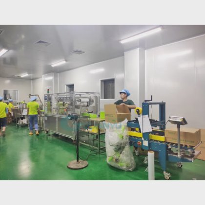 自动装盒机 护手霜 唇膏 日化用品纸盒包装机