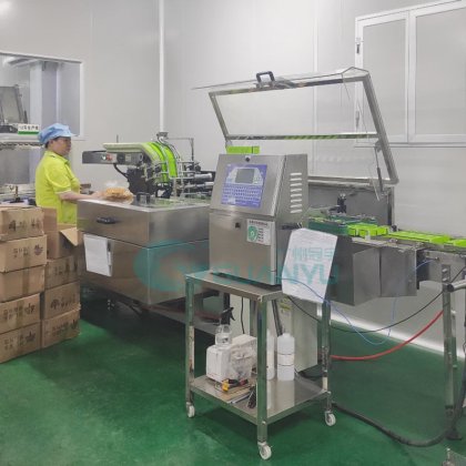 自动装盒机 护手霜 唇膏 日化用品纸盒包装机