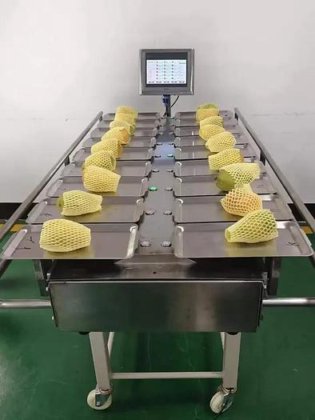 用于水果、葡萄、番茄和马铃薯称重的手动组合称重器