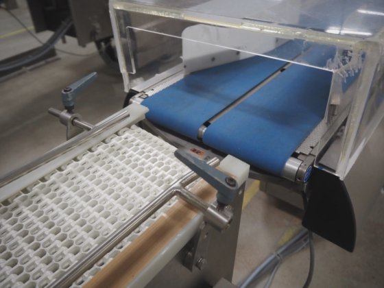 Safeline Metaaldetectoren