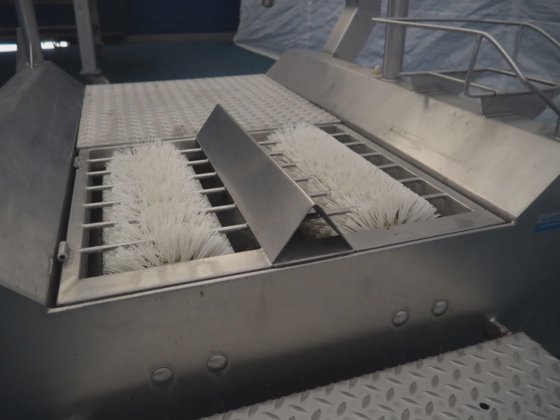 Kittner-Bulgaria Hygiene-Technologie