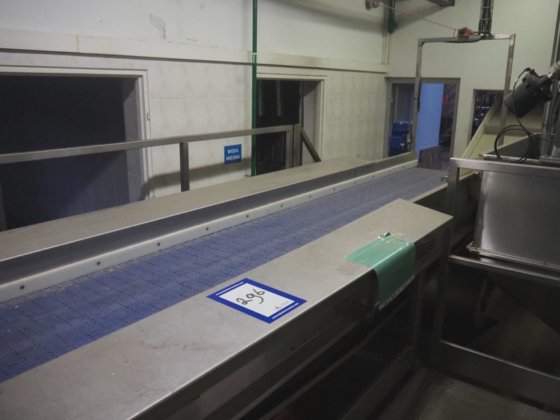 CFT S.p.A. Sortierbänder