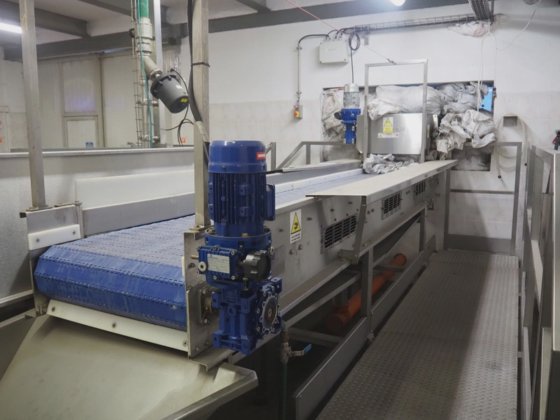 CFT S.p.A. Sortierbänder