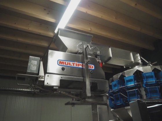 Multipond Multihead wegers