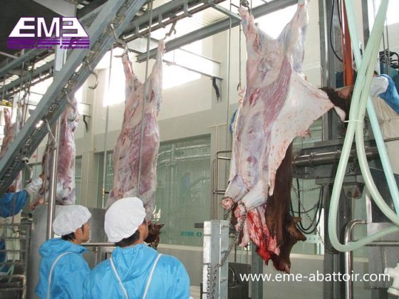 牛屠宰设备 屠宰场机械 牛设备