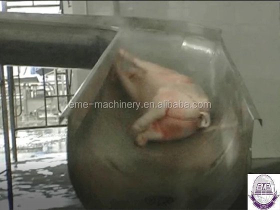 出厂价 母猪屠宰场屠宰设备 用于生猪加工厂的屠宰设备 屠宰线 肉类加工机械