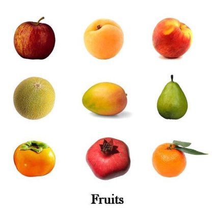 优质鱼片组合式 16 头称重器 手动皮带配重称重器