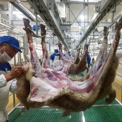 全套清真羊肉屠宰线价格 羊屠宰场脱毛设备 羊屠宰场羊肉屠宰设备