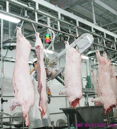 生猪屠宰场设备 屠宰场猪肉胴体 手动带式分割锯 用于生猪屠宰的机器 屠夫设备