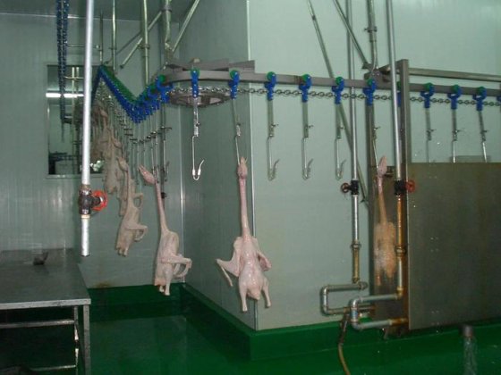家禽设备 屠体清洗机 鸡鸭鹅屠宰场机械 农业机械设备