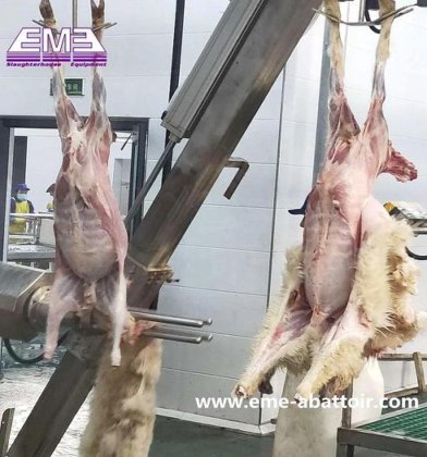 活羊/山羊尼龙皮带输送机 山羊屠宰场屠宰设备肉类加工设备