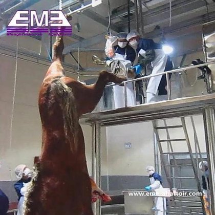 用于牛屠宰场的牛肉屠宰线牛屠宰机