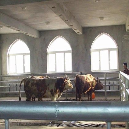 新型臂式四分之一胴体输送下料机 屠场机械设备 牛屠宰机