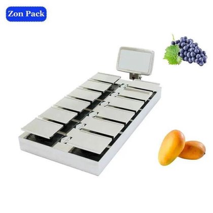 用于包装机的新鲜番茄、土豆、洋葱和肉类称重秤 12 皮带式组合秤