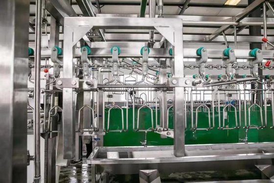 移动式屠宰场的价格 用于肉鸡的大型农场家禽设备 家禽农场设备