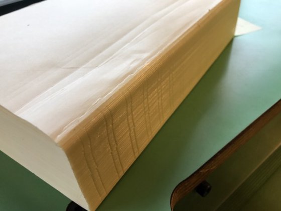 1988年 メカノッチジュニア