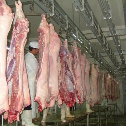 整套解决方案 屠宰场生猪屠宰设备 屠宰加工生产线胴体脱毛机