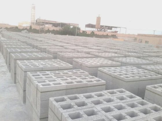 フライアッシュレンガおよびブロック製造機 Qt10-15