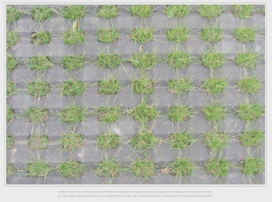 車の駐車場用草舗装レンガ製造機