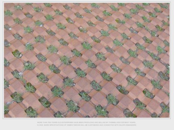 車の駐車場用草舗装レンガ製造機