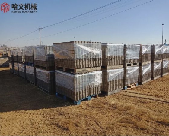 高生産能力効率自動振動コンクリート中空ブロック油圧セメントブロックミキサー縁石製造機アルジェリアで