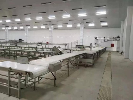 优质鸡屠宰机械 农业机械与设备