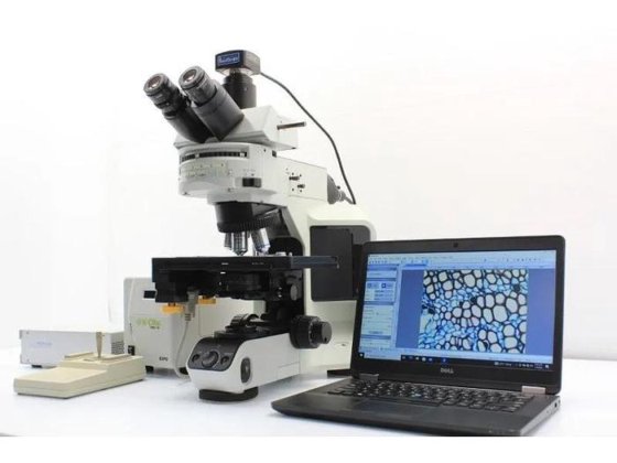 Olympus BX53 Fluorescence Motorized XY