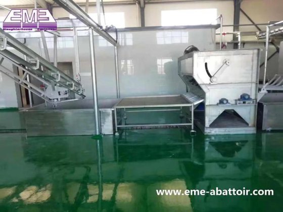 工厂价格 猪脱毛机 屠宰设备 用于肉类加工的机械 猪屠宰场设备
