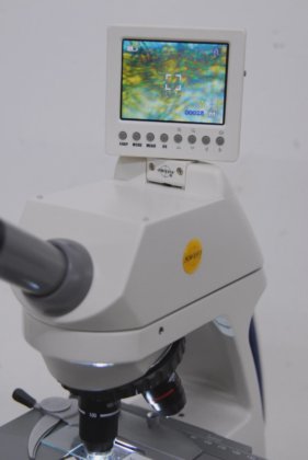 Swift M10 Microscope W/ Built
